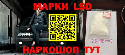крисы Кулебаки