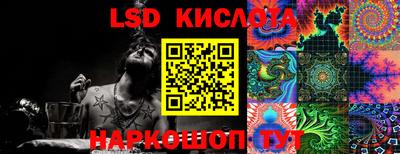 крисы Кулебаки