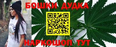 крисы Кулебаки