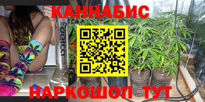 крисы Кулебаки