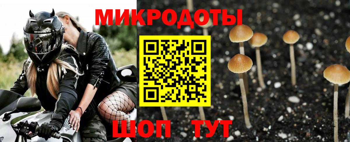 Галлюциногенные грибы мицелий Качканар