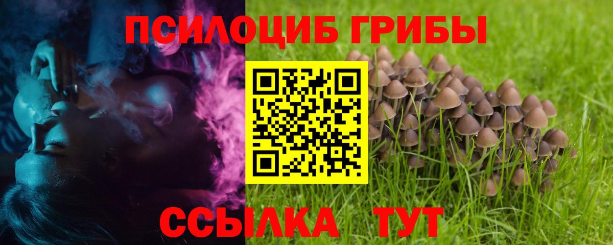 Качканар  Псилоцибиновые грибы мицелий  Вход с VPN 